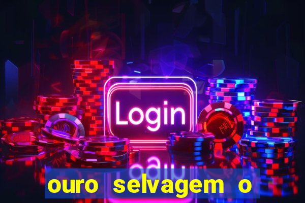 ouro selvagem o que aconteceu na vida